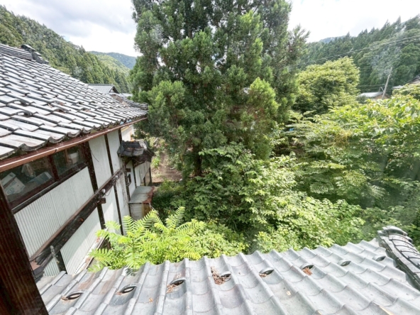 imgi_26_16-1