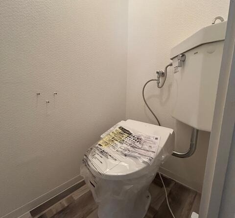 imgi_109_PCFtzpKa2xlAsHz1Bmd6EQ==