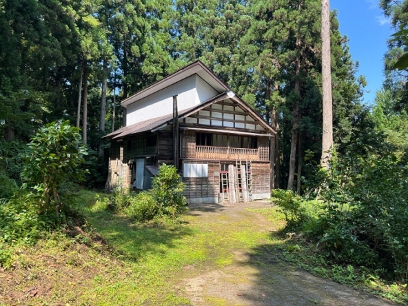 imgi_4_1ef3ddeff6b0d1d2f8bdb1fb58087827-4