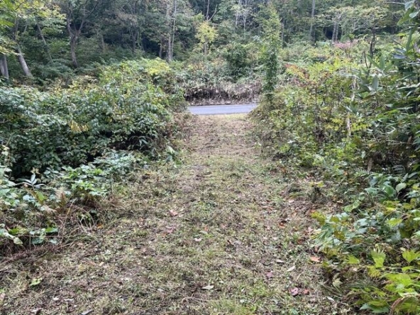 imgi_112_HQ16-QKbjkGXBTwb_feZRA==