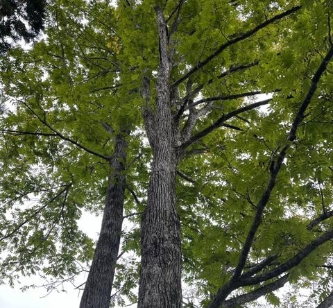 imgi_113_3w79h3vxv41BUVI9ceog1w==