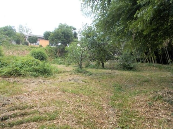 imgi_132_0PFmdoJ3UvThUQiabE7aqg==