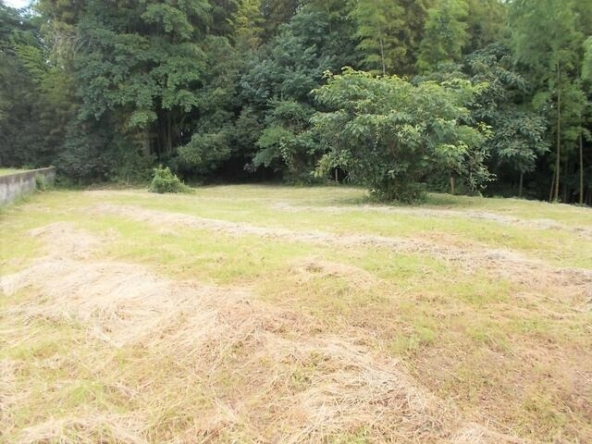 imgi_133_C5HPdE892xxDpvFbKqa0Og==