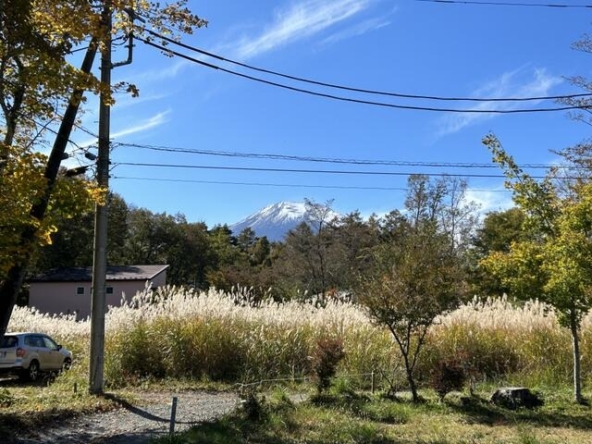 imgi_104_USCMXvoVohLDBMUQVBQuZQ==