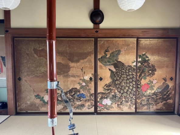 imgi_16_76376717_0019