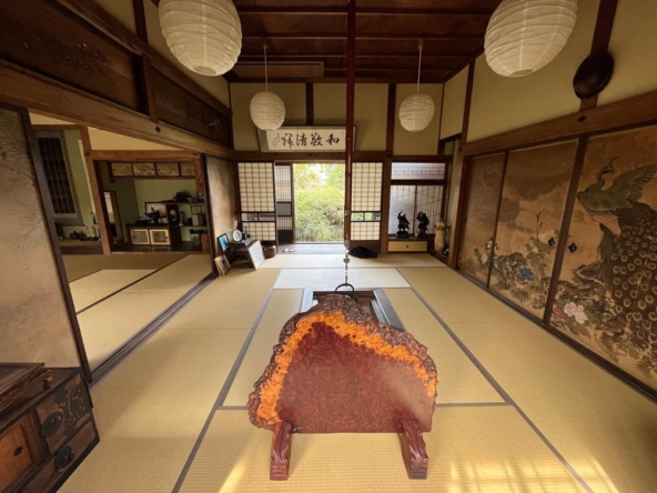 imgi_19_76376717_0013