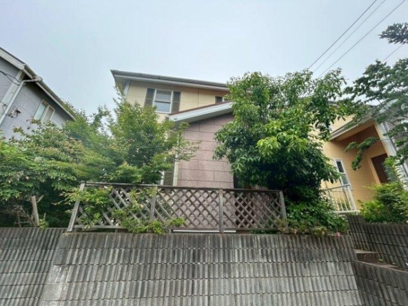 imgi_6_77437259_0042